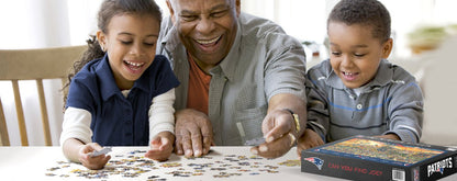 NE Patriots Puzzle (9029588) - 500 Pieces